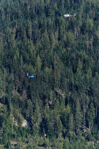 Helicopters Passing.6160