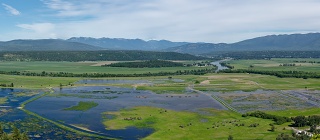 Kootenai River.Ball Creek.pana2