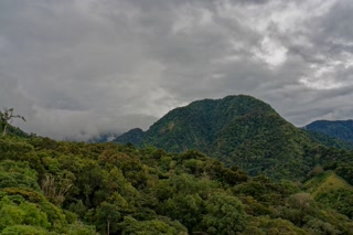 Cloud Forest.mp4