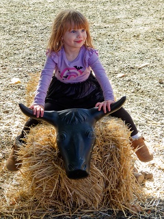 20261003 0112.Alice On Bull