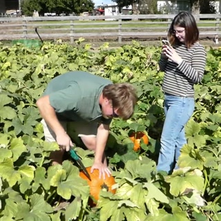20261003 9002.Jack Liz.pumpking Cutting.mp4